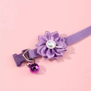 Super cute pet collar ✨​​​​​​